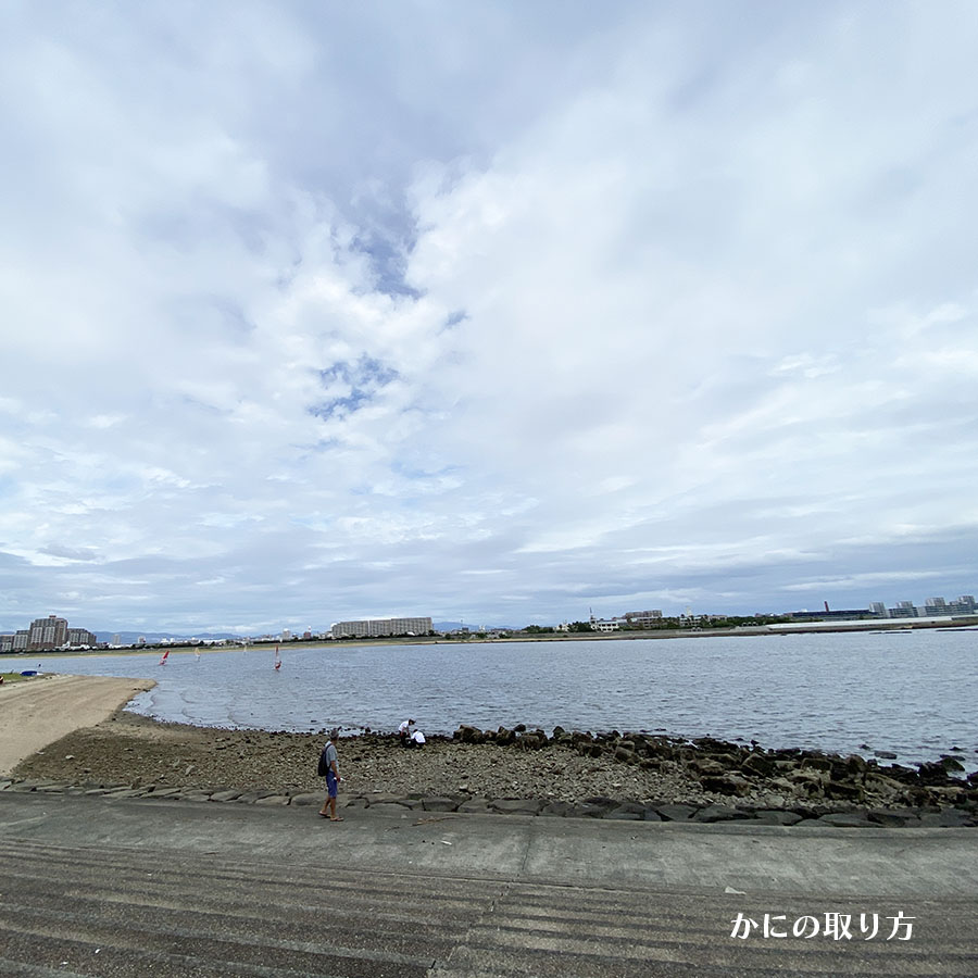 甲子園浜海浜公園｜かにの取り方