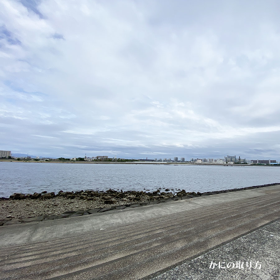 甲子園浜海浜公園｜かにの取り方