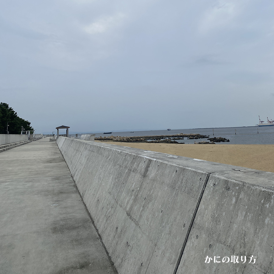 潮芦屋浜ビーチ 磯広場｜かにの取り方