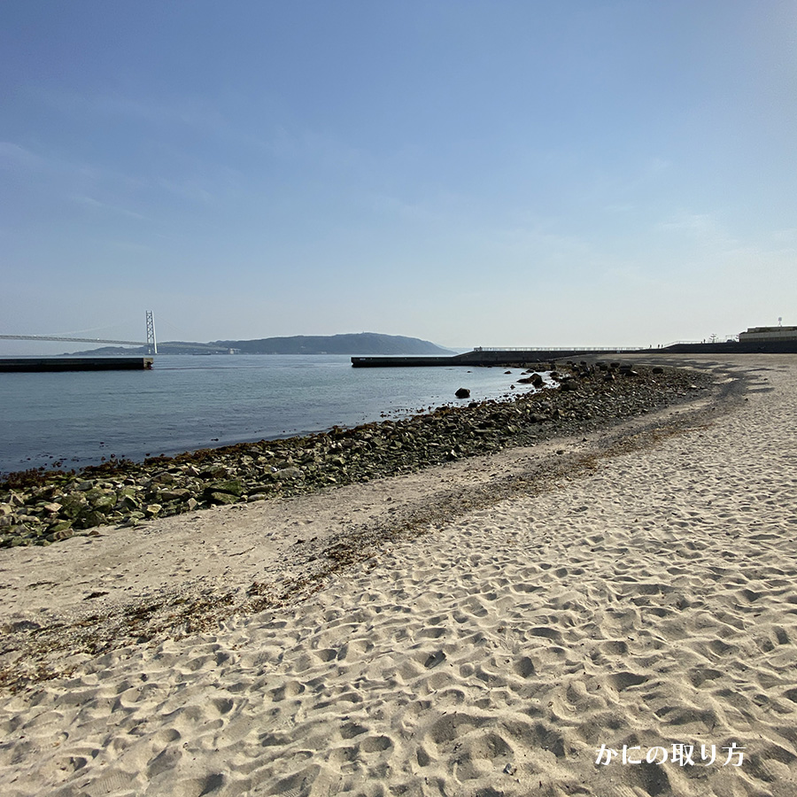 大蔵海岸公園（砂浜エリア）｜かにの取り方